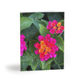 Floral Lantana Greeting Cards — Pack of 8/16/24 — Bright Pink & Orange Garden Note Cards