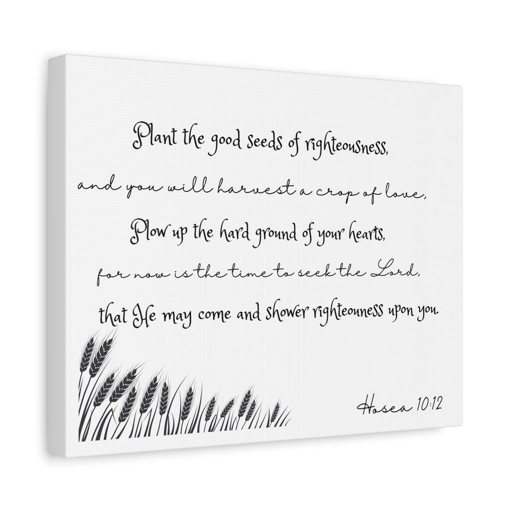 Hosea 10:12 Bible Verse Canvas Wall Art — 'Plant the Good Seeds of Righteousness' Matte Stretched Canvas