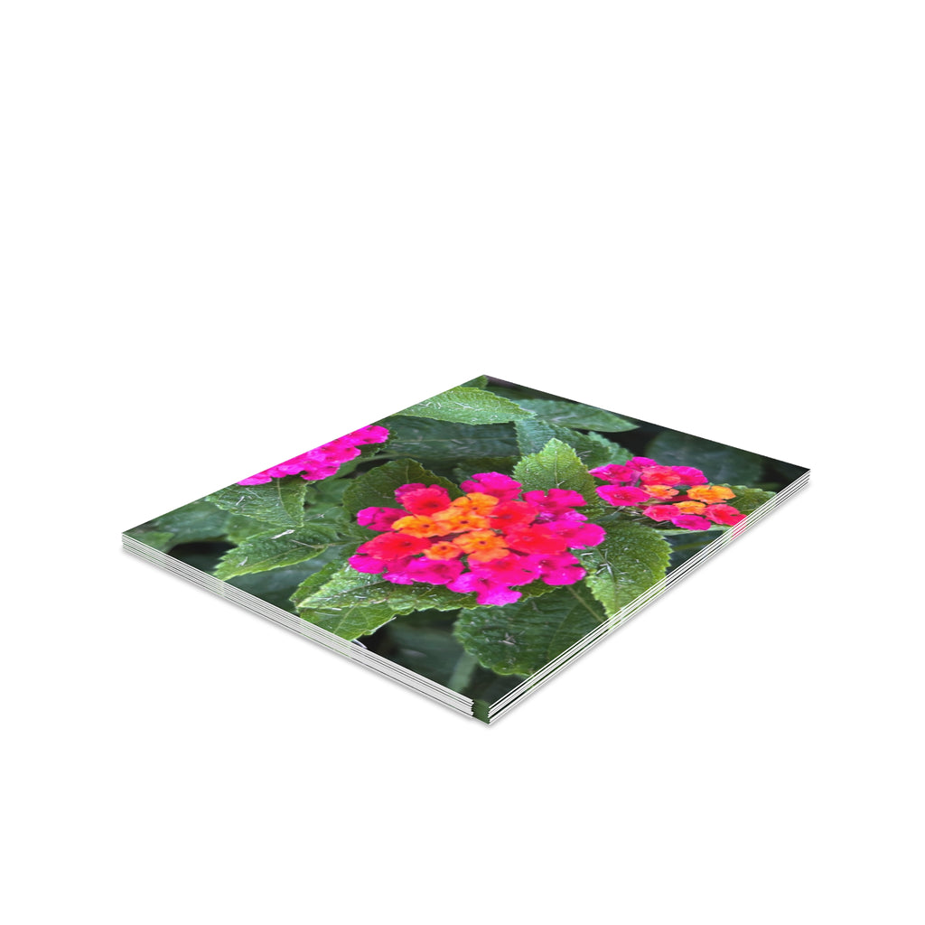 Floral Lantana Greeting Cards — Pack of 8/16/24 — Bright Pink & Orange Garden Note Cards