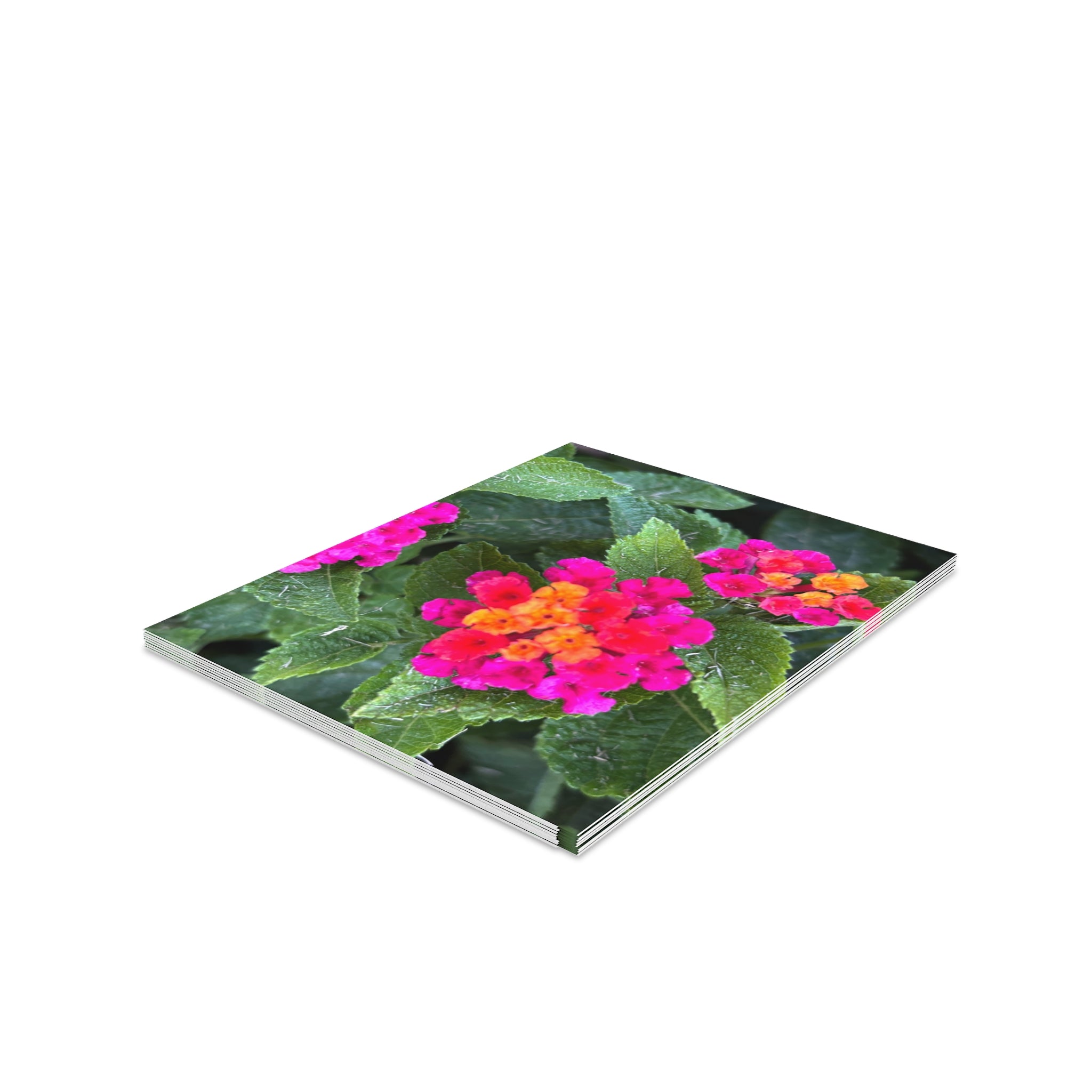 Floral Lantana Greeting Cards — Pack of 8/16/24 — Bright Pink & Orange Garden Note Cards